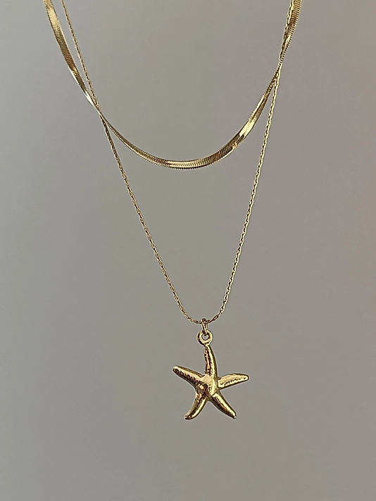 Çelik 2’li Deniz Yıldızı Kolye