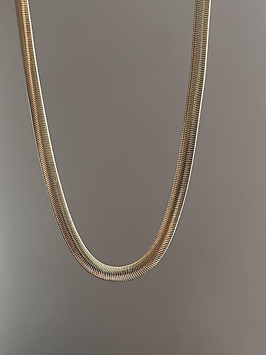 CM Model Kalın Balıksırtı Kolye (45+5 cm)