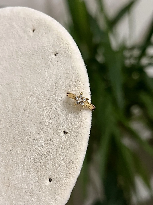 Taş Detaylı Yıldız Halka Pearcing